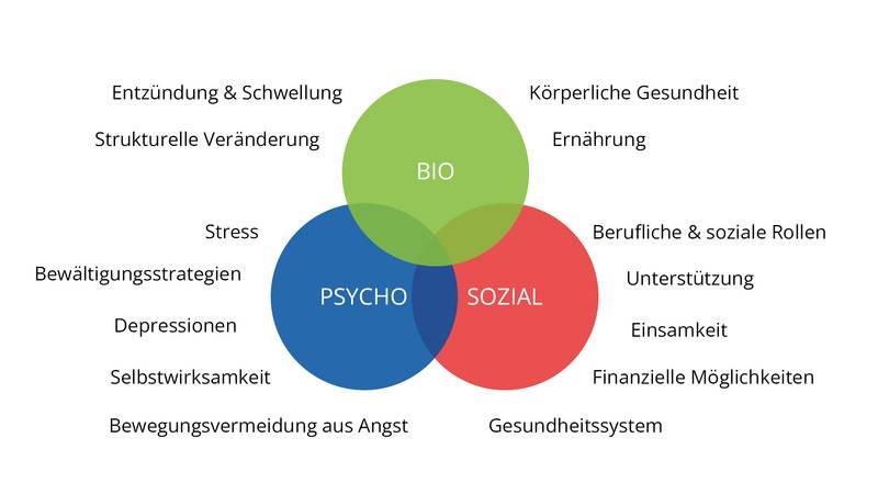 biopsychosozialesmodell