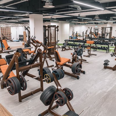 Plate loaded Bereich im Fitnessstudio von MediFit Rüsselsheim